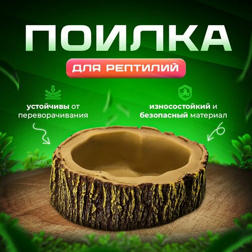 Поилка для террариума и рептилий Simple Zoo, 120х100х38 мм