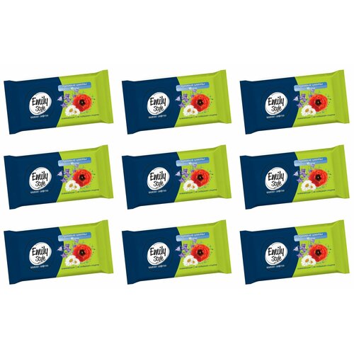 Emily Style Влажные салфетки Луговые цветы, универсальные, 15 шт, 9 упаковок/