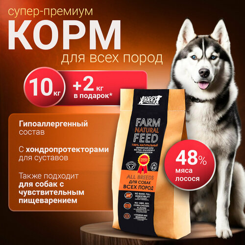 Сухой корм для собак крупных и средних пород Buddy Dinner Orange Line Hypoallergenic с лососем 10 кг + 2 кг в подарок