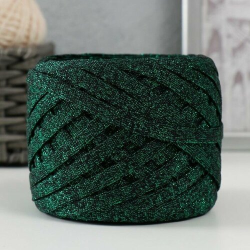 Трикотажная пряжа Риббон с люрексом 85м170 5 гр Черный люрекс Зеленый 1107₽