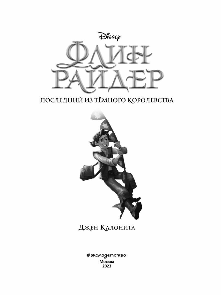 Флин Райдер. Последний из тёмного королевства - фото №14