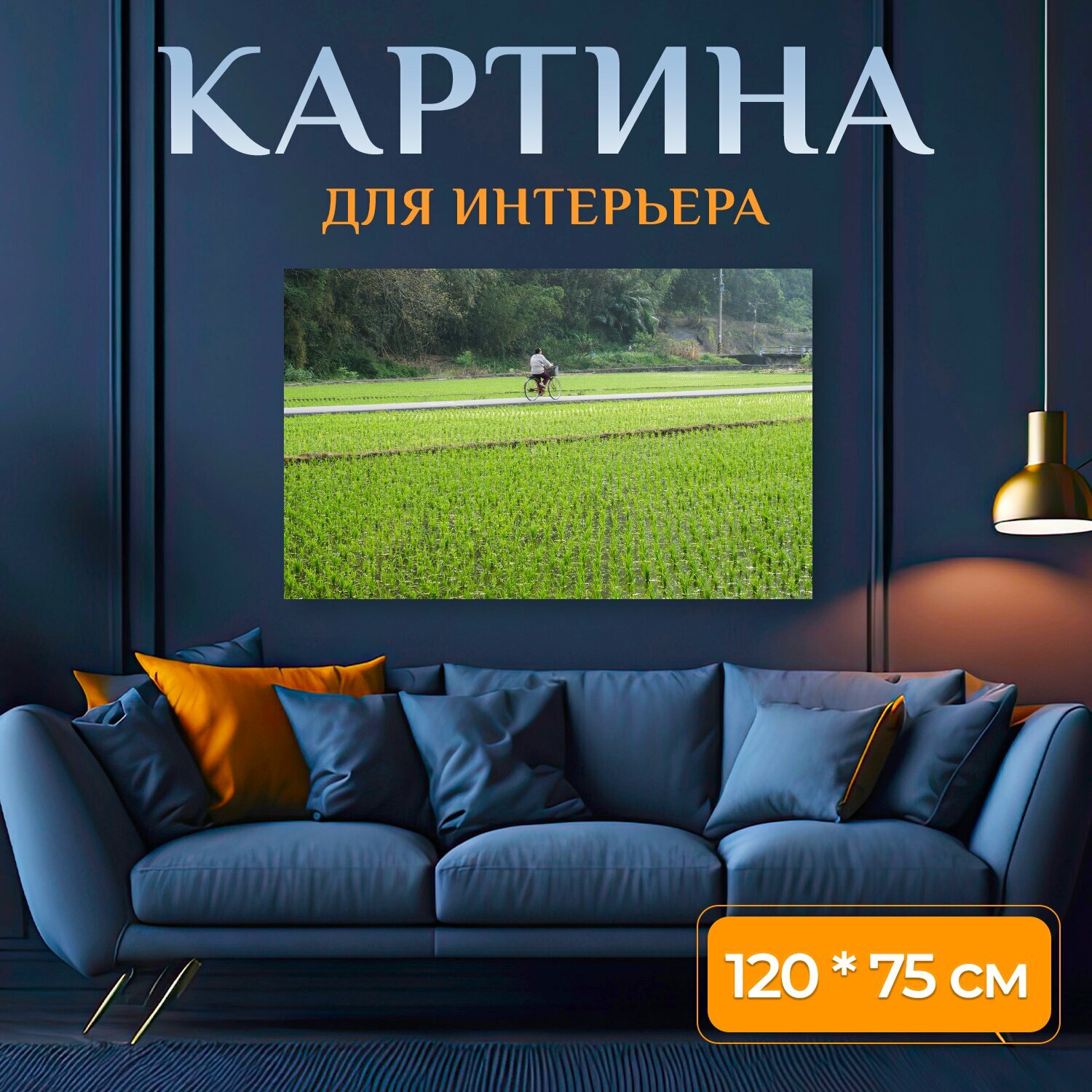 Картина на холсте "Велосипед, поле, рис" на подрамнике 120х75 см. для интерьера