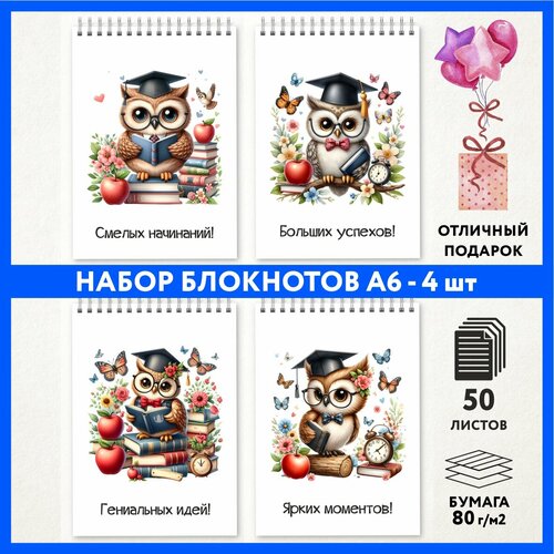 Набор блокнотов А6 - 4 шт подарок выпускнику детского сада на 1 сентября и День Рождения Школьная сова 222 - 1 notepad_school_owls_222_A6_set_1 699₽