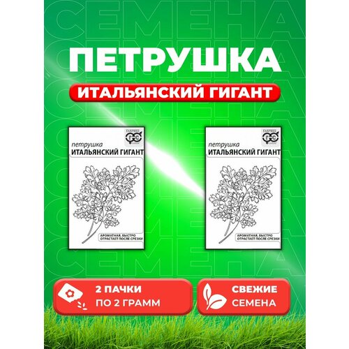 Петрушка Итальянский гигант 2 г б/п с евроотв. (2уп) семена петрушка листовая итальянский гигант гавриш 2 гр