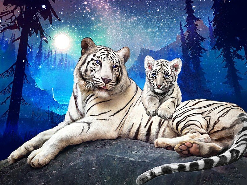 Тигры в ночи #Ah5529 Алмазное Хобби Набор алмазная мозаика 50 х 40 см