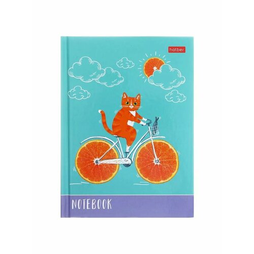 Записная книжка А6 48 листов в клетку Котик-апельсинчи 504₽