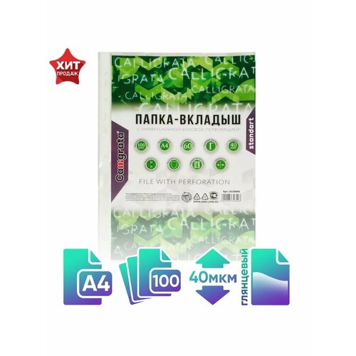 Файл-вкладыш А4 глянцевый 100 штук 690₽