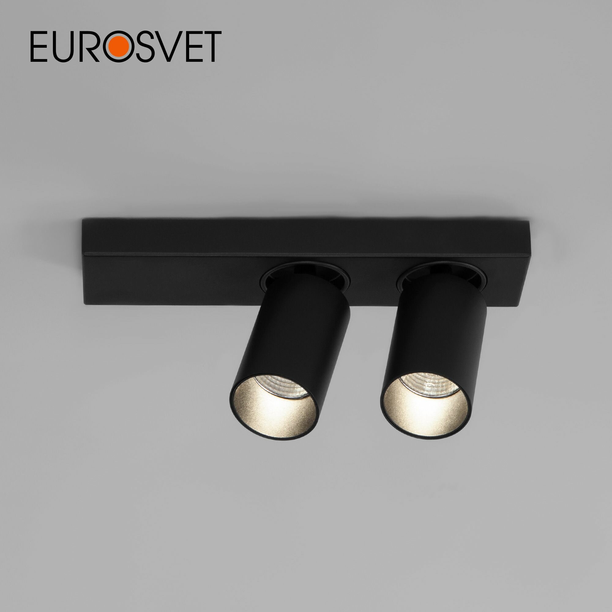 Спот / Накладной светодиодный светильник с поворотными плафонами Eurosvet 20139/2 LED, 10 Вт, 4200 К, цвет черный