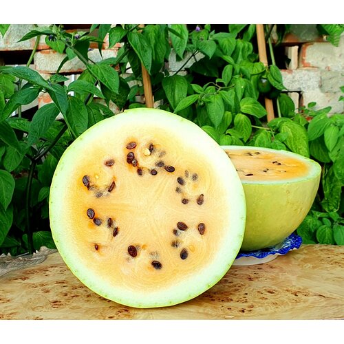 Семена Арбуз король пустыни (Desert King) / Seeds And Goods / в пакетике zip-lock без полиграфии 5 семян