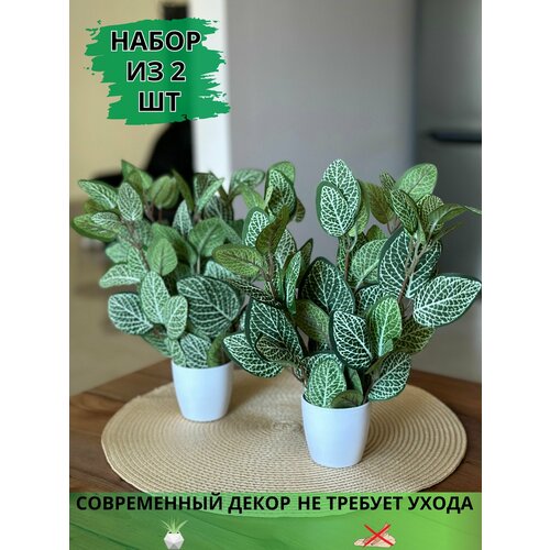 Искусственные цветы в горшке фиттония в кашпо для декора набор из 2 штук белый, коричневый, зеленый