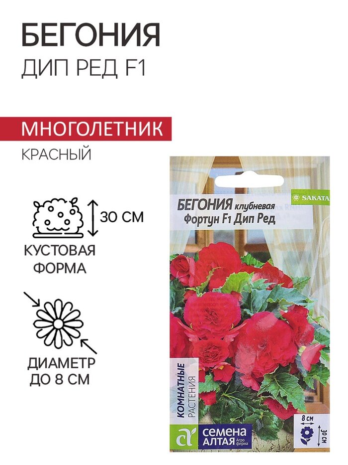 Семена комнатных цветов Бегония 