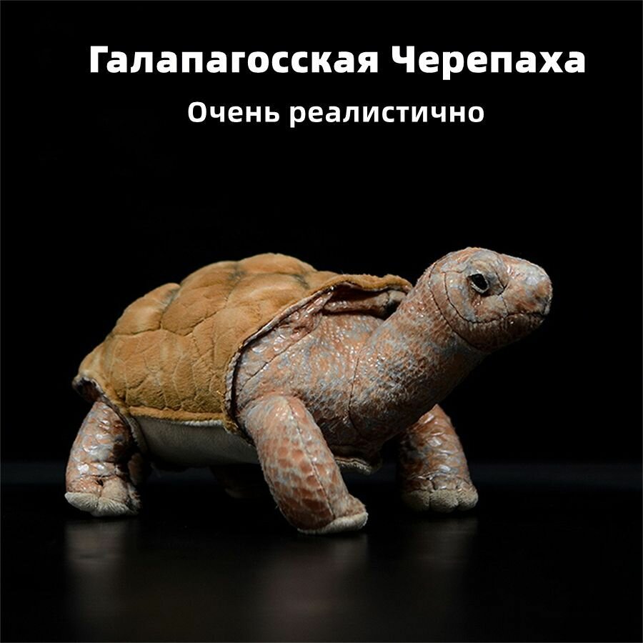Реалистичная мягкая игрушка Галапагосская Черепаха