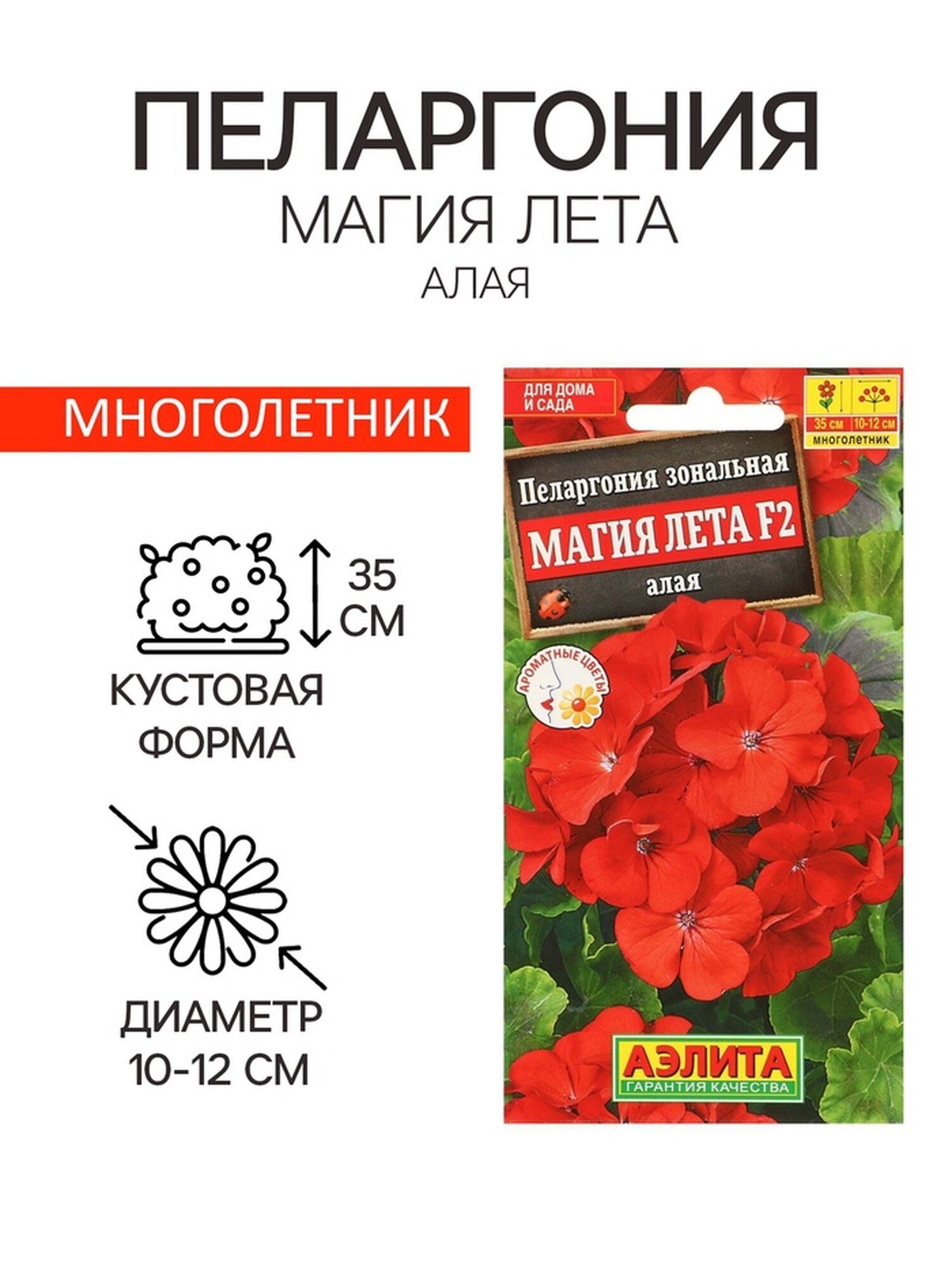 Семена цветов Пеларгония 
