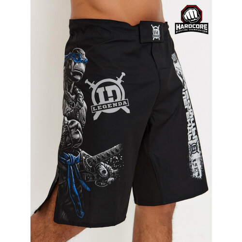 фото Шорты legenda, размер l, черный