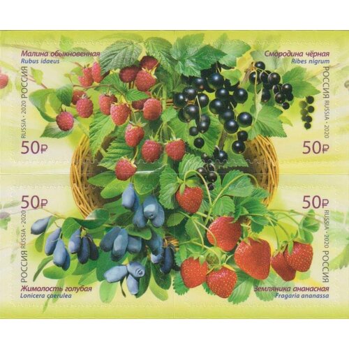 Почтовые марки Россия 2020г. Ягоды Ягоды, Флора MNH