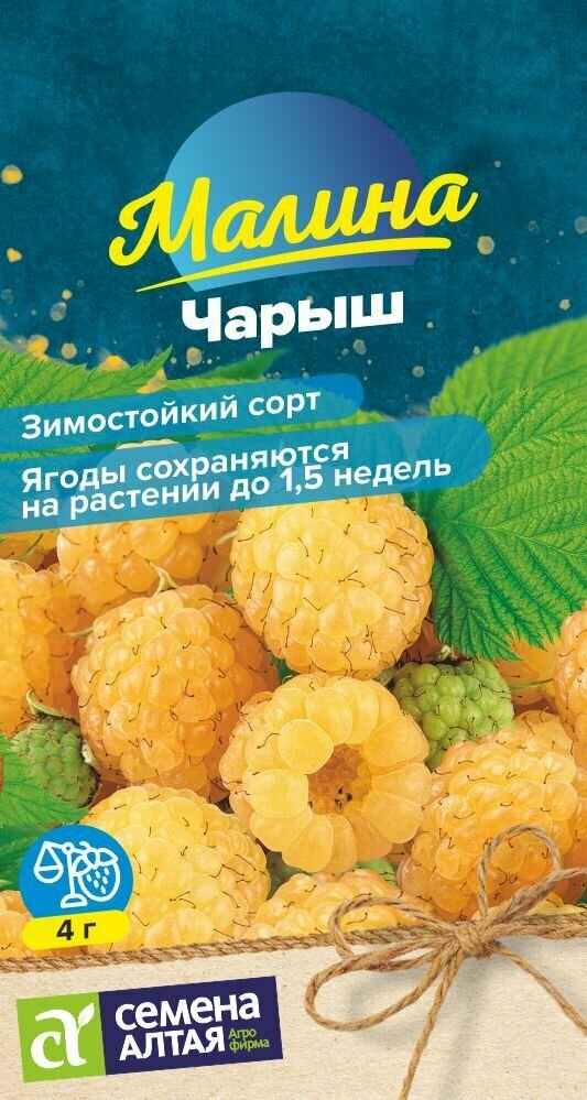 Подготовка почвы перед посадкой растения