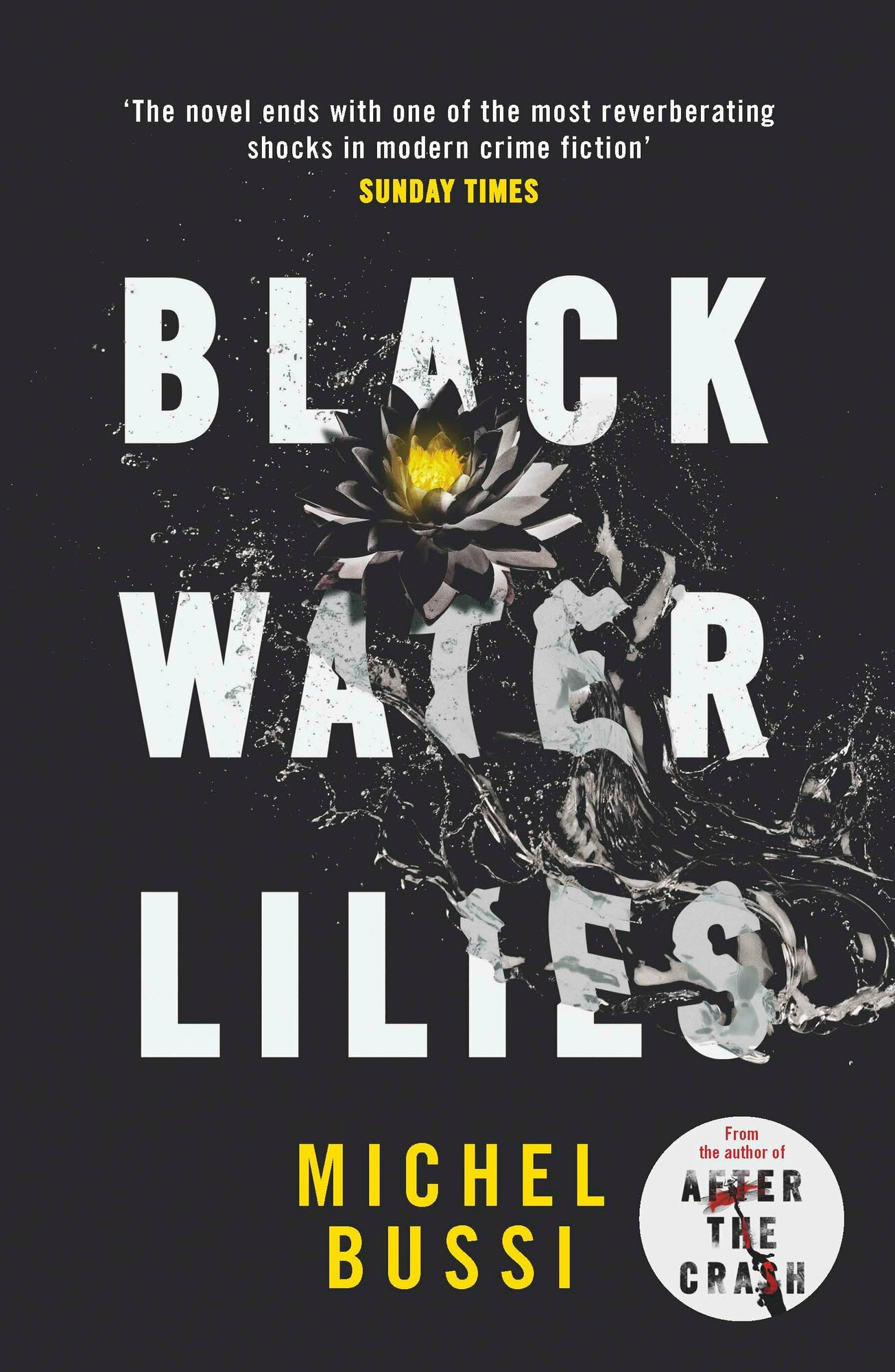 Black Water Lilies / Bussi Michel / Книга на Английском / Бюсси Мишель - фото №1