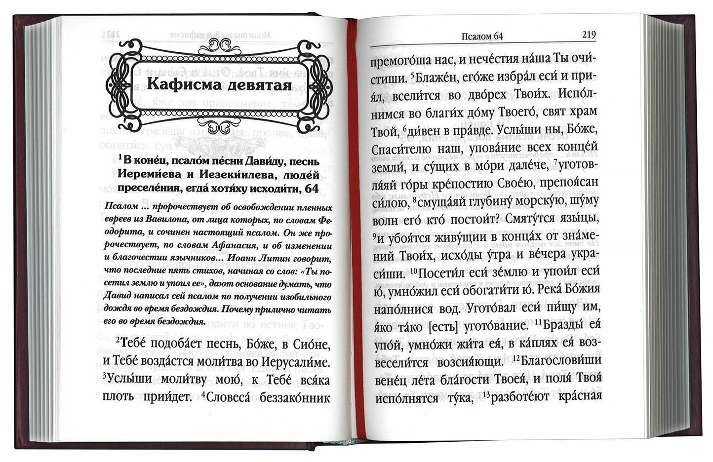 Псалтирь с поминовением живых и усопших. С толкованием Евфимия Зигабена — фото 1