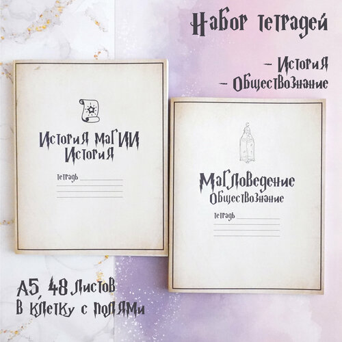 Набор предметных тетрадей 2шт по истории и обществознанию 
