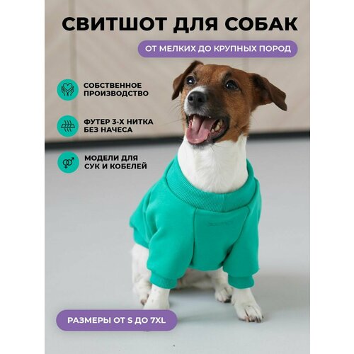 Свитшот для собак DOGFACE / Одежда для животных / Толстовка для мелких, средних и крупных пород (зеленый, S, мужской)