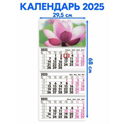 Календарь 2025 настенный трехблочный Лотос. Длина календаря в развёрнутом виде - 68 см, ширина - 29,5 см. с ндс
