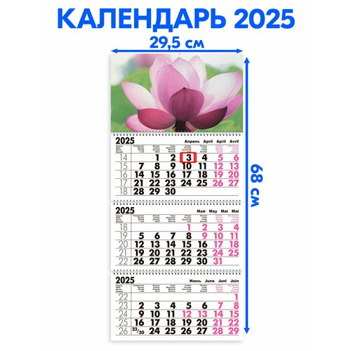 Календарь 2025 настенный трехблочный Лотос. Длина календаря в развёрнутом виде - 68 см, ширина - 29,5 см. с ндс календарь квартальный трехблочный успенский собор длина календаря в развёрнутом виде 68 см ширина 29 5 см