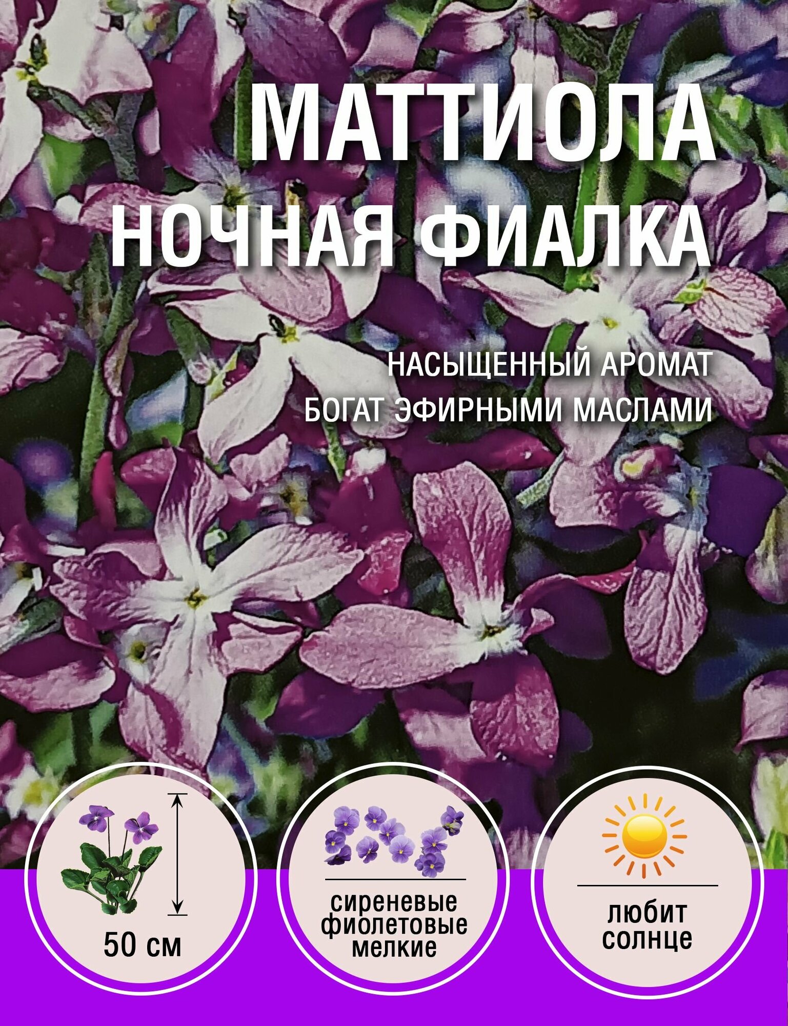 Маттиола (Ночная Фиалка) (5 пакетов по 05гр)