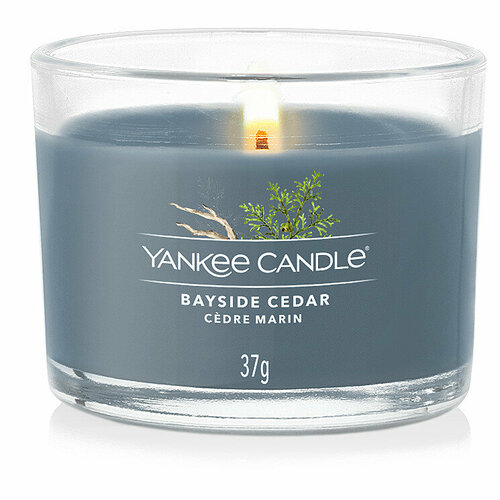 Yankee Candle Свеча Прибрежный кедр 37 гр