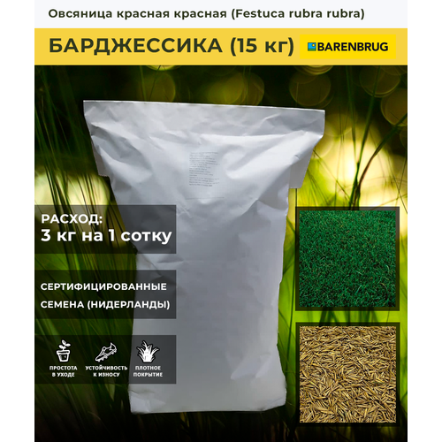 Семена газона Овсяница красная сорт Барджессика Barenbrug (15 кг)