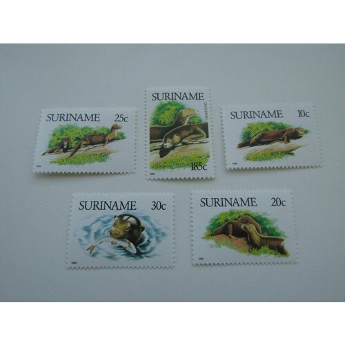 марки флора и фауна суринам 1989 выдры 5 штук Марки. Флора и фауна. Суринам. 1989, Выдры, 5 штук