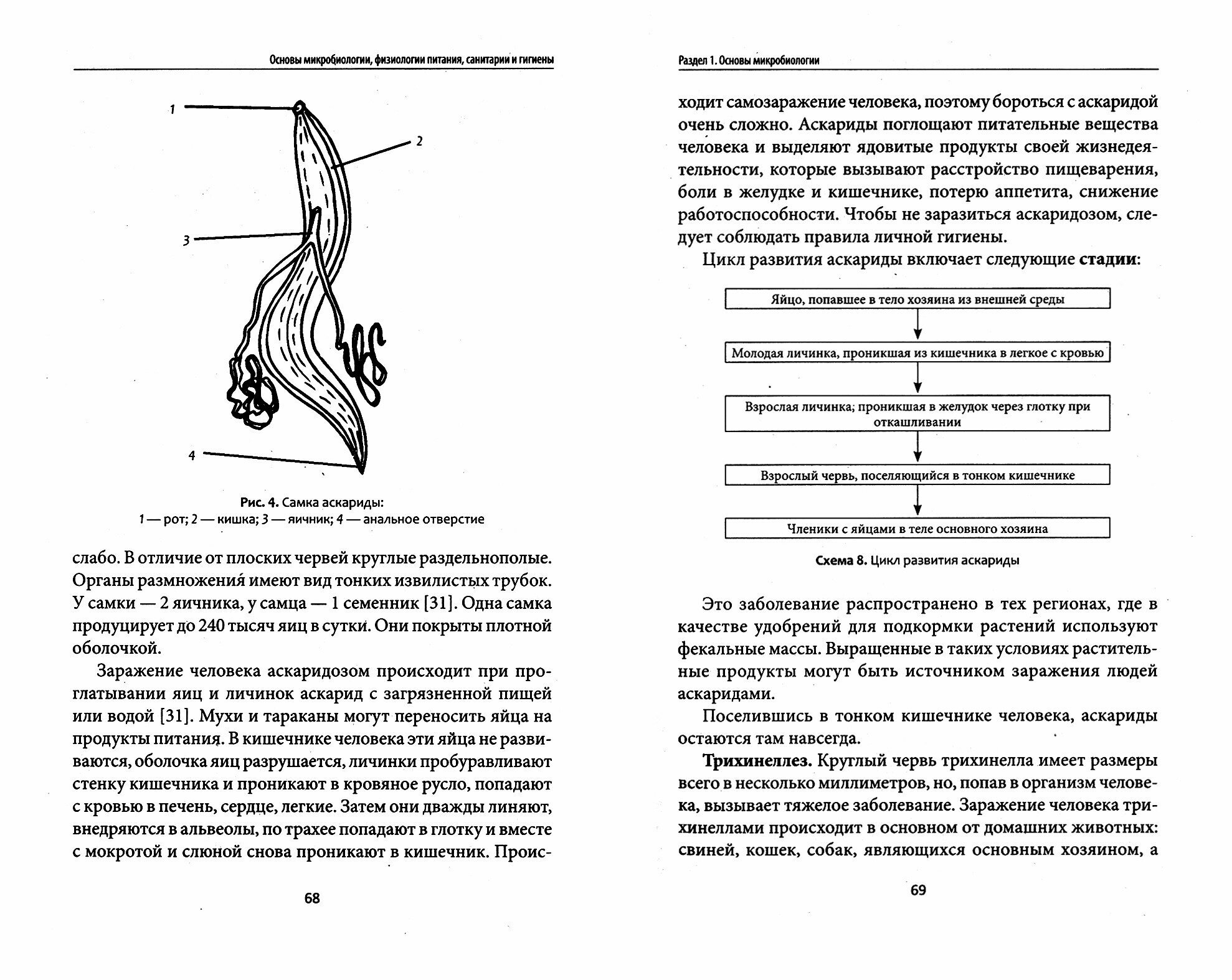 Основы микробиологии, физиологии питания, санитарии и гигиены. Учебное пособие - фото №3