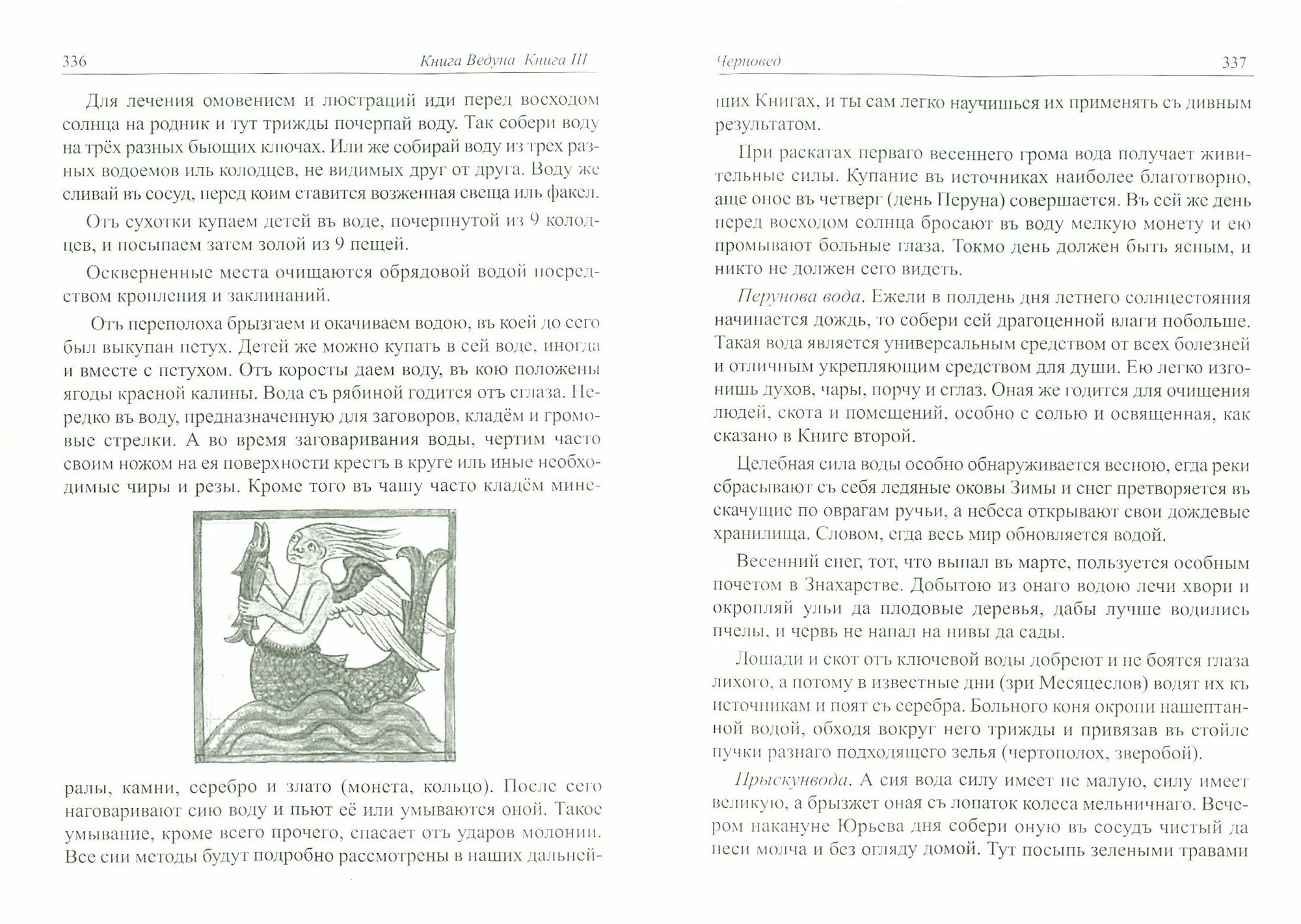 Книга Ведуна. Книга 3 (Черновед) - фото №3