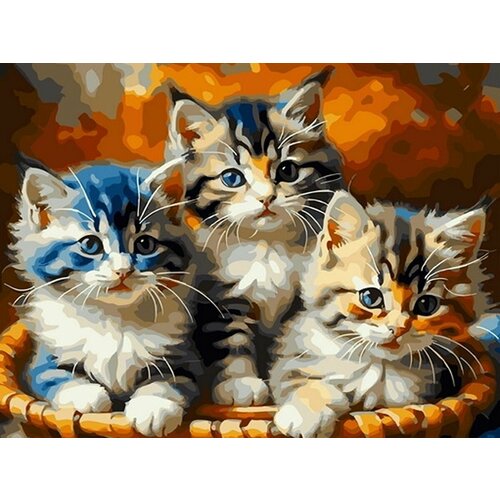 Картина по номерам на холсте 40*50 см Три котенка три котенка на прогулке раскраска картина по номерам на холсте