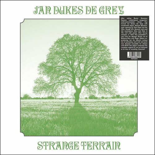 Виниловая пластинка Jan Dukes De Grey / Strange Terrain (LP)