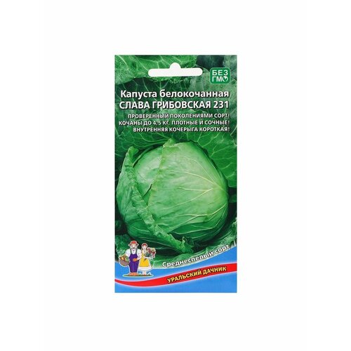 5 упаковок Семена Капуста Слава Грибовская 231, 0,3 г капуста слава грибовская 231 б к цв п 0 5 гр среднеспелая