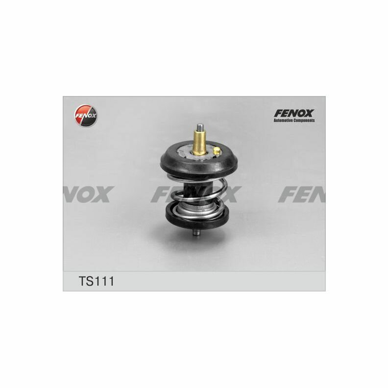 Термостат VW Golf V, VI 04-13, Passat 09-, Tiguan 07-, Audi A3, A4 04-, Skoda Octavia, Superb 07-, FENOX, TS111