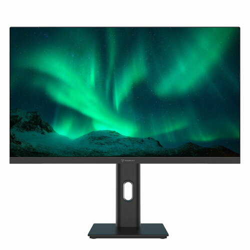 238 Raskat I24F10DAP 238 IPS 1920180 VGAHDMIDP 4ms 178178 10001 100Hz Pivot Black 1152000₽