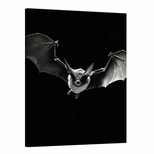 Интерьерная картина 50х70 "Страх Летучей мыши"