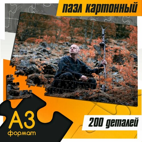 Пазл картонный 200 деталей 38х26 см музыка Wardruna (Вардруна, нордик-фолк, дарк-фолк, эмбиент) - 483 wardruna wardruna runaljod gap var ginnunga 2 lp