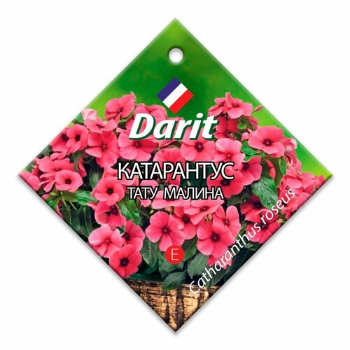 Катарантус Тату Малина