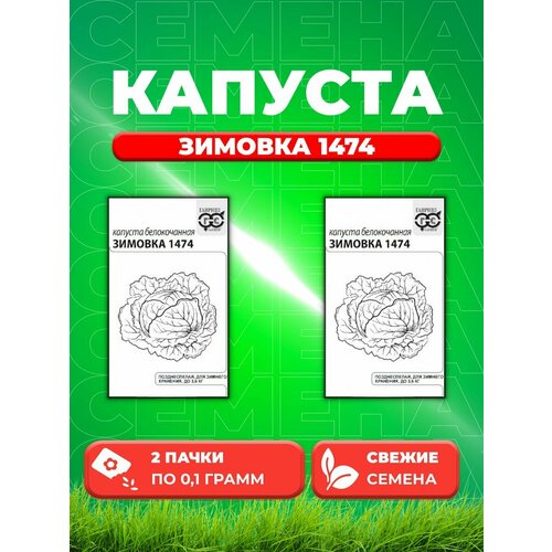 капуста белокочанная зимовка 1474 1 гр б п Капуста белокочанная Зимовка 1474, 0,1г, Гавриш, Б/п(2уп)