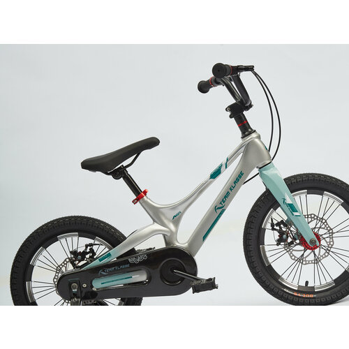 Детский велосипед Team Klasse D-1-E серебряный диаметр колес 16 дюймов 16199₽