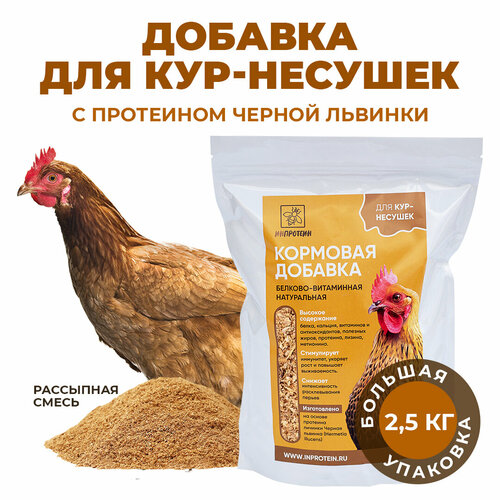 Белковый корм для кур-несушек инпротеин. Добавки для кур с протеином Черной львинки, 2,5 кг.