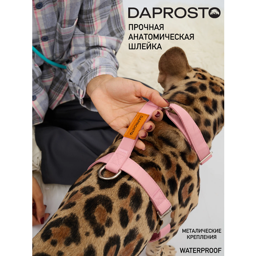 Дизайнерская шлейка прогулочная waterproof DAPROSTO "PINK Joy", нейлон, для маленьких собак, размер S