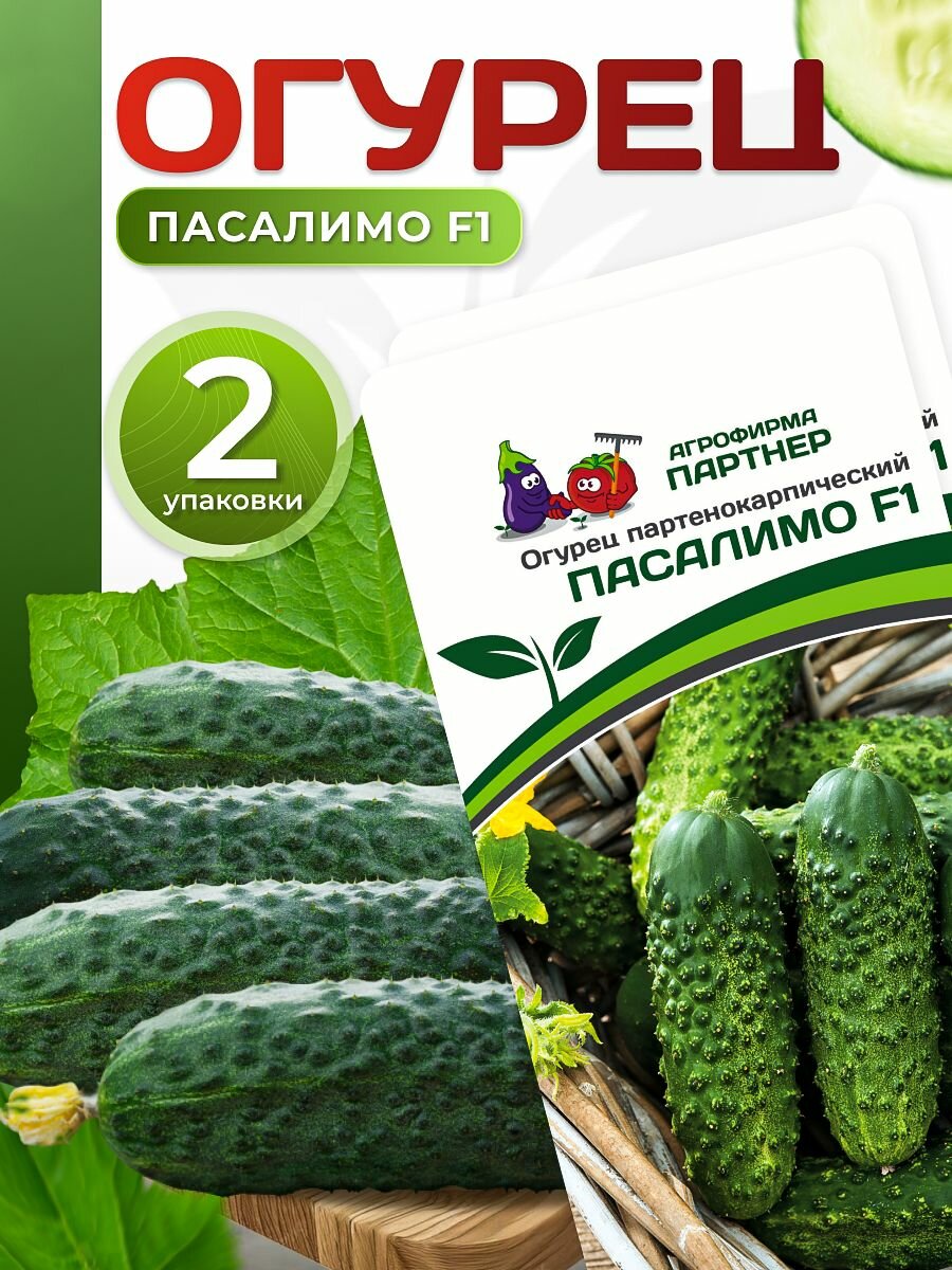Семена огурцов Пасалимо