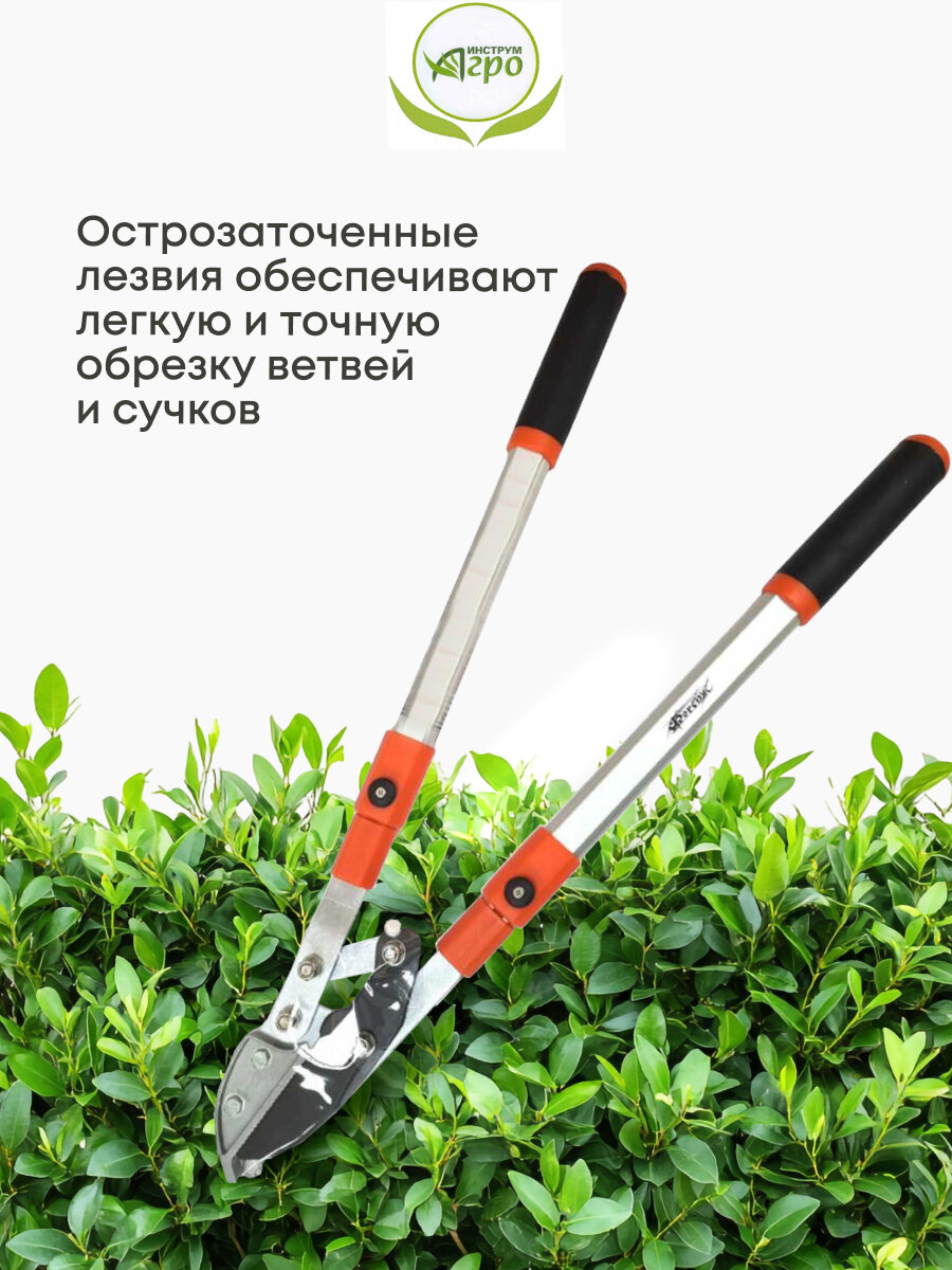 Изображение Ножницы кусторез садовые для дачи, 450 мм, для кустарников, Инструм-Агро, НКТО S331A-В