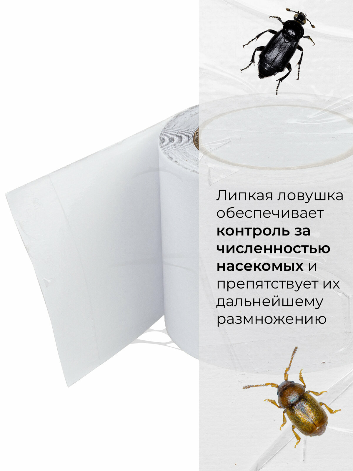 Ловчий пояс от садовых вредителей NoGuest, для деревьев, 5 м — фото 1