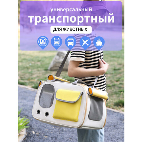 Переноска для кошек и собак мелких пород, сумка для животных