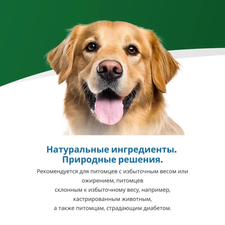 VET LIFE DOG LINE Комплект 3 шт. Вет Лайф для собак Обесити 300 г — фото 1