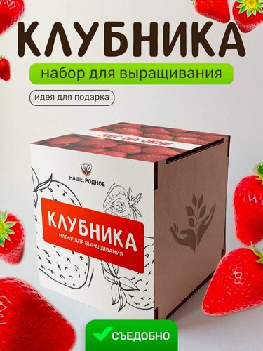Изображение товара Набор для выращивания растений Сад на окне "Клубника", в деревянном горшочке